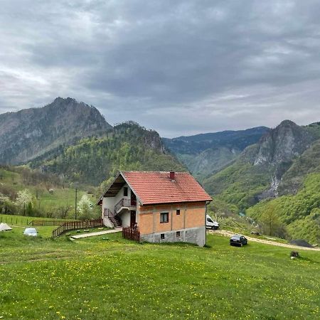 Family Owned Self Sufficient Eco Farm Tara Ξενοδοχείο Πλιέβλια Εξωτερικό φωτογραφία