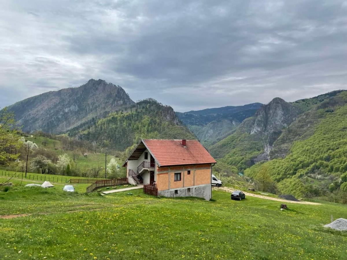 Family Owned Self Sufficient Eco Farm Tara Ξενοδοχείο Πλιέβλια Εξωτερικό φωτογραφία