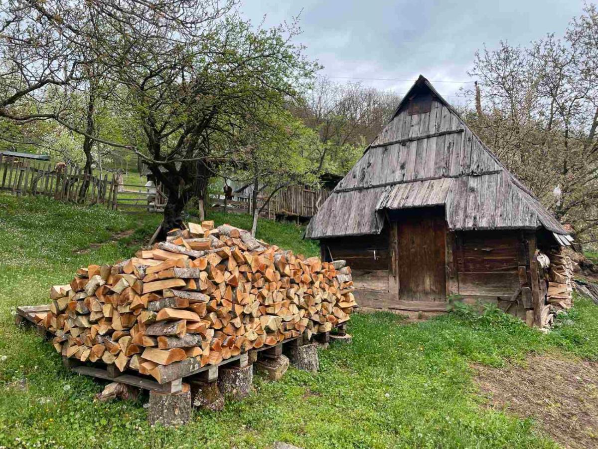 Family Owned Self Sufficient Eco Farm Tara Ξενοδοχείο Πλιέβλια Εξωτερικό φωτογραφία