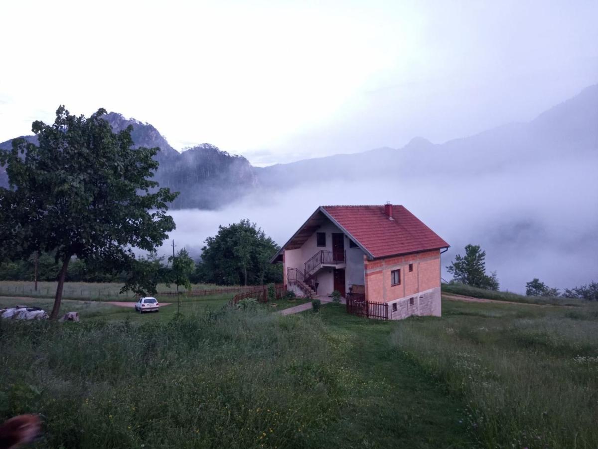 Family Owned Self Sufficient Eco Farm Tara Ξενοδοχείο Πλιέβλια Εξωτερικό φωτογραφία