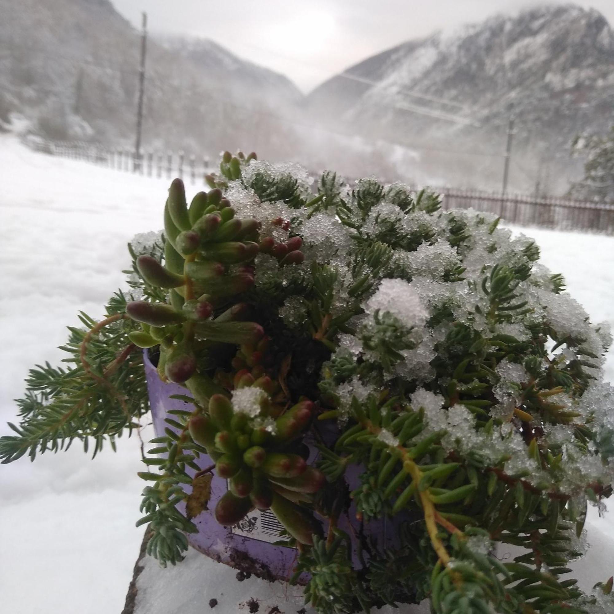 Family Owned Self Sufficient Eco Farm Tara Ξενοδοχείο Πλιέβλια Εξωτερικό φωτογραφία