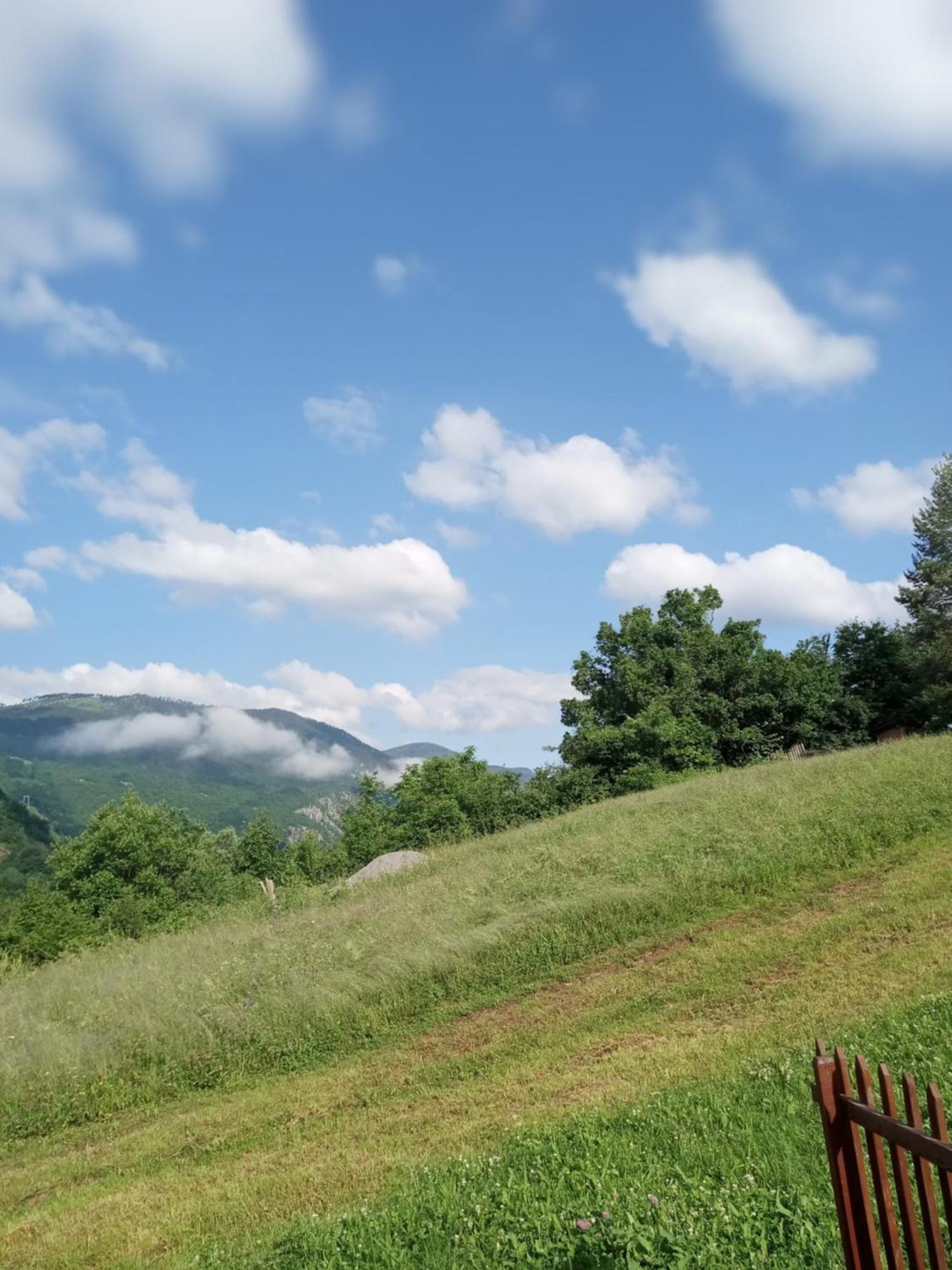 Family Owned Self Sufficient Eco Farm Tara Ξενοδοχείο Πλιέβλια Εξωτερικό φωτογραφία